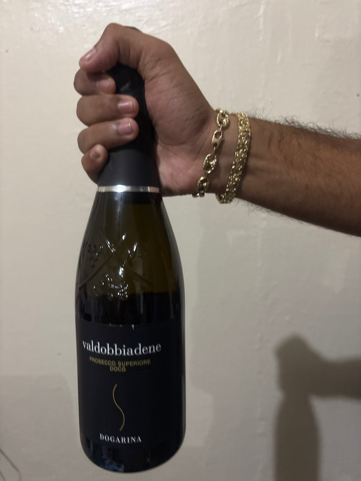 Prosecco Superiore DOCG BRUT dogarina vivo
