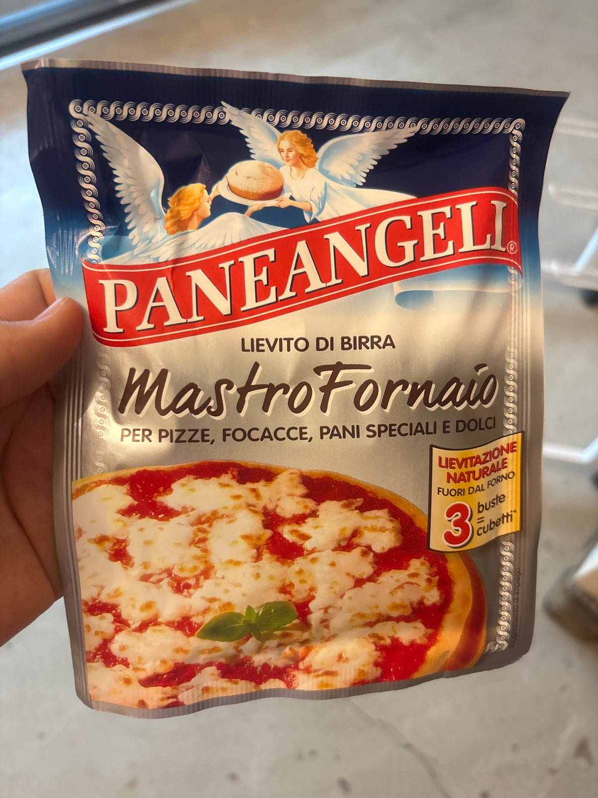 Paneangeli yeast