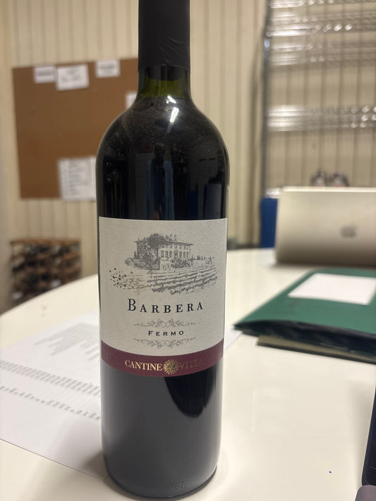 Barbera fermo cantine vitea
