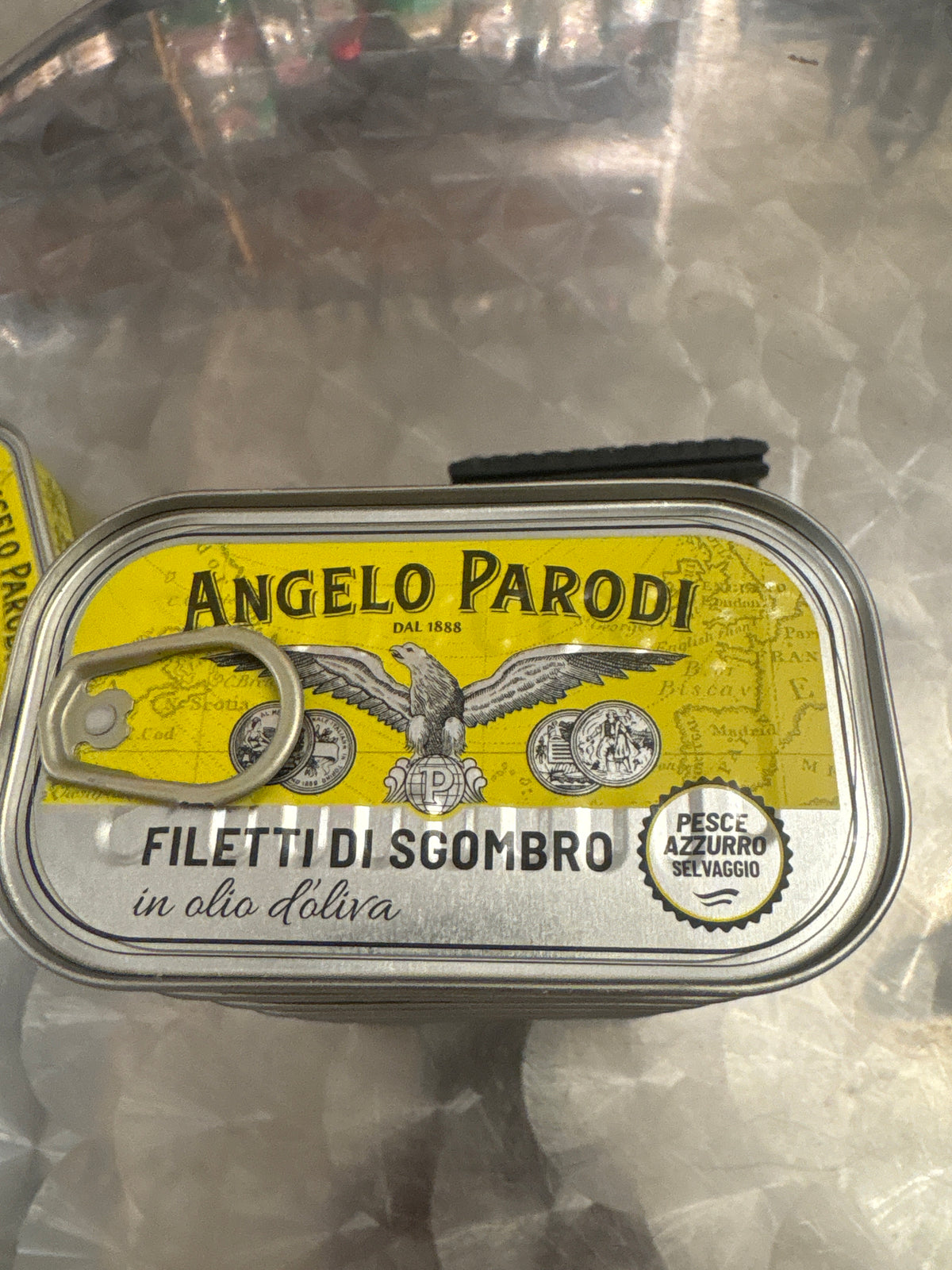 Sardines in oil